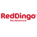 Red Dingo Red Dingo