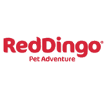 Red Dingo Logo