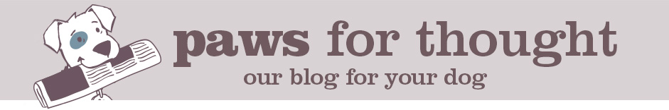 Blog Banner Blog Banner